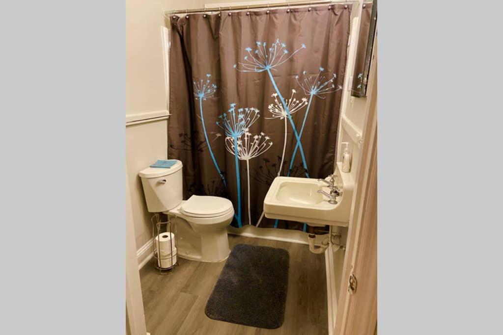 Darling Cottage In University Park Raleigh Ngoại thất bức ảnh